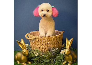 McAllen Pet Grooming Coco's Dog Salon & Grooming