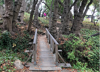Berkeley Public Parks Codornices Park