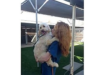 Bakersfield Veterinary Clinics Coffee Road Animal Hospital & Pet Resort