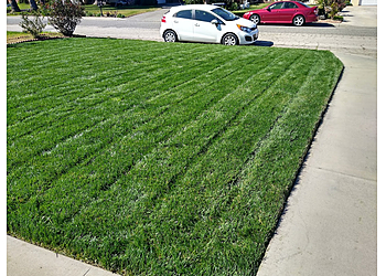 Moreno Valley Lawn Care Services Cold Springs Lawn Care