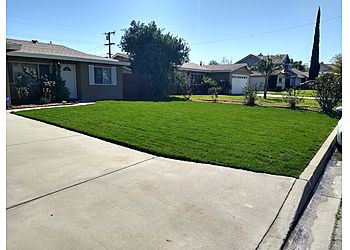 Moreno Valley Lawn Care Services Cold Springs Lawn Care