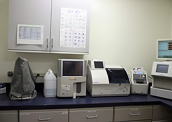 Coldwater Animal Hospital - Rochester, NY Veterinary Clinics - Medical Procedure Image