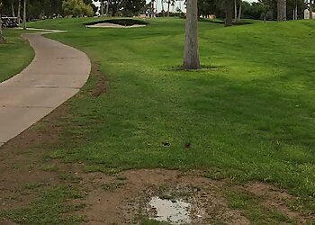 Tempe Golf Courses Coldwater Golf Club
