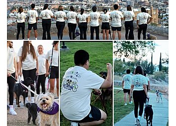 El Paso Dog Walkers Collar Club of El Paso
