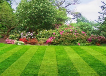 Colorado Home Maintenance LLC. Colorado Home Maintenance LLC.