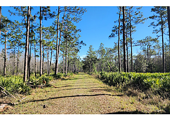 Lakeland Hiking Trails Colt Creek State Park