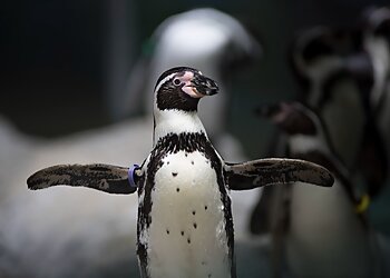 Columbus Places To See Columbus Zoo and Aquarium