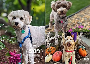 St Paul Dog Walkers Come, Sit, Stay Dog Walking and Pet Sitting