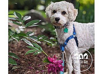 Minneapolis Dog Walkers Come, Sit, Stay, LLC