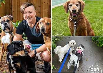 Minneapolis Dog Walkers Come, Sit, Stay, LLC