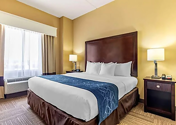 Frisco Hotels Comfort Suites Frisco