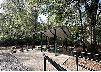 Baton Rouge Hiking Trails Comite River Park