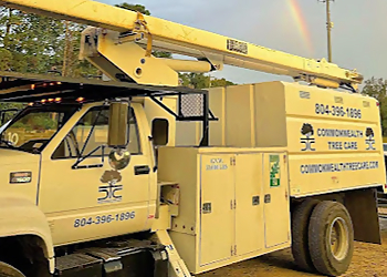 Commonwealth Tree Care Richmond Tree Services image 1