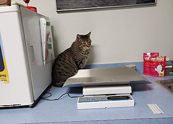 Salem Veterinary Clinics Companion Pet