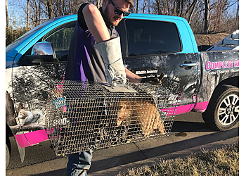 Chattanooga Animal Removal Complete Animal Removal