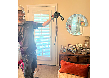 Chattanooga Animal Removal Complete Animal Removal