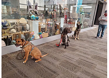 Wichita Dog Training Complete K9