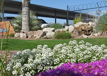 Tucson Landscaping Companies Complete Landscaping