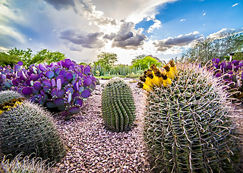 Tucson Landscaping Companies Complete Landscaping