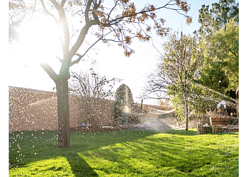 El Paso Lawn Care Services Complete Lawncare