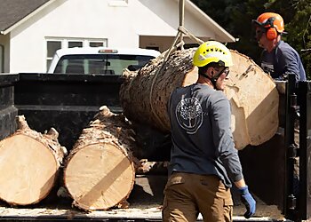 Colorado Springs Tree Services Complete Tree Service