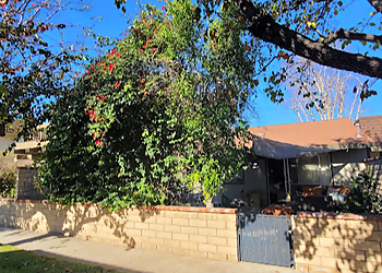 Thousand Oaks Tree Services Conejo Valley Tree Services