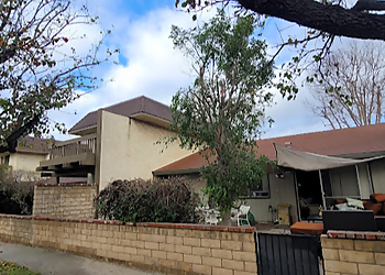 Thousand Oaks Tree Services Conejo Valley Tree Services