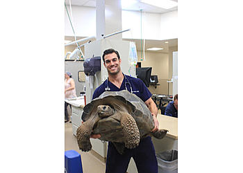 Thousand Oaks Veterinary Clinics Conejo Valley Veterinary Hospital