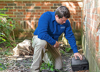 Connecticut Pest Elimination, LLC. Bridgeport Pest Control Companies image 1