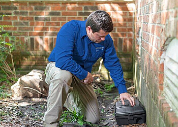 New Haven Pest Control Companies Connecticut Pest Elimination, LLC.