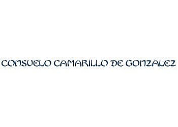 Consuelo C. DE Gonzalez LIC.AC McAllen Acupuncture image 1