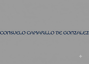 Consuelo C. Gonzalez, LICAC Consuelo C. Gonzalez, LICAC - McAllen, TX Acupuncture - Clinic Logo