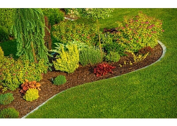 Rochester Lawn Care Services Conte Lawn Care