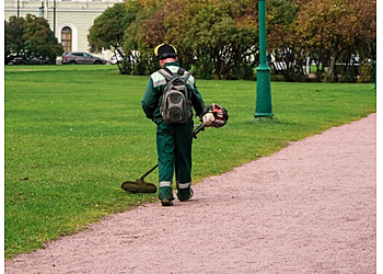 Rochester Lawn Care Services Conte Lawn Care