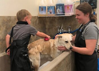 Phoenix Pet Grooming Cookies N Clean