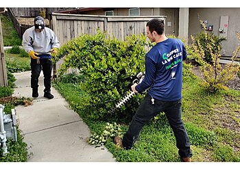 Sacramento Lawn Care Services Cooper Lawn Care