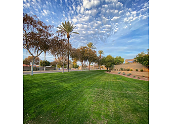 Peoria Lawn Care Services Copper State Lawn & Landscape LLC
