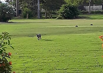 Fort Lauderdale Golf Courses Coral Ridge Country Club