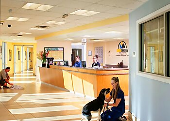 Coral Springs Veterinary Clinics Coral Springs Animal Hospital