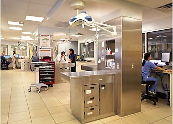 Coral Springs Veterinary Clinics Coral Springs Animal Hospital