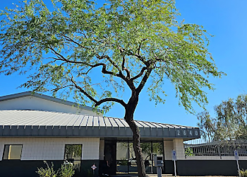 Glendale Tree Services Core Tree Service, LLC.