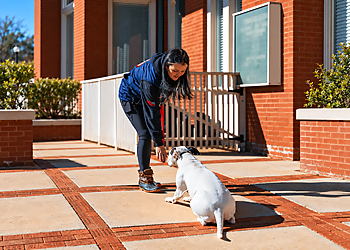 Cornerstone K9 - Raleigh, NC Dog Training - Work Image