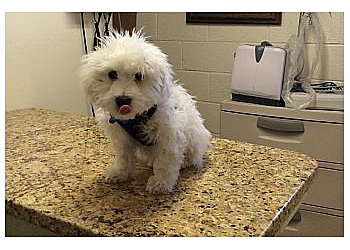 Kansas City Veterinary Clinics Coronado Animal Hospital