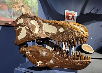 Corpus Christi Landmarks Corpus Christi Museum of Science and History