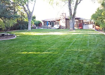Reno Lawn Care Services Cory's Lawn Service LLC