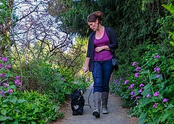 Seattle Dog Walkers Cosmic Home & Pet