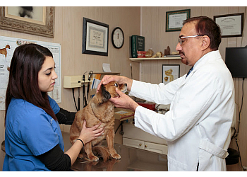 3 Best Veterinary Clinics in Anaheim, CA - Expert ...