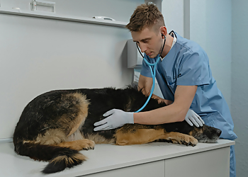 Waco Veterinary Clinics Cottonwood Creek Veterinary Hospital