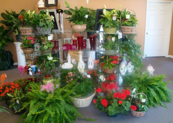 3 Best Florists in Huntsville, AL - Expert Recommendations