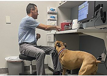 Tempe Veterinary Clinics Countryside Animal Hospital